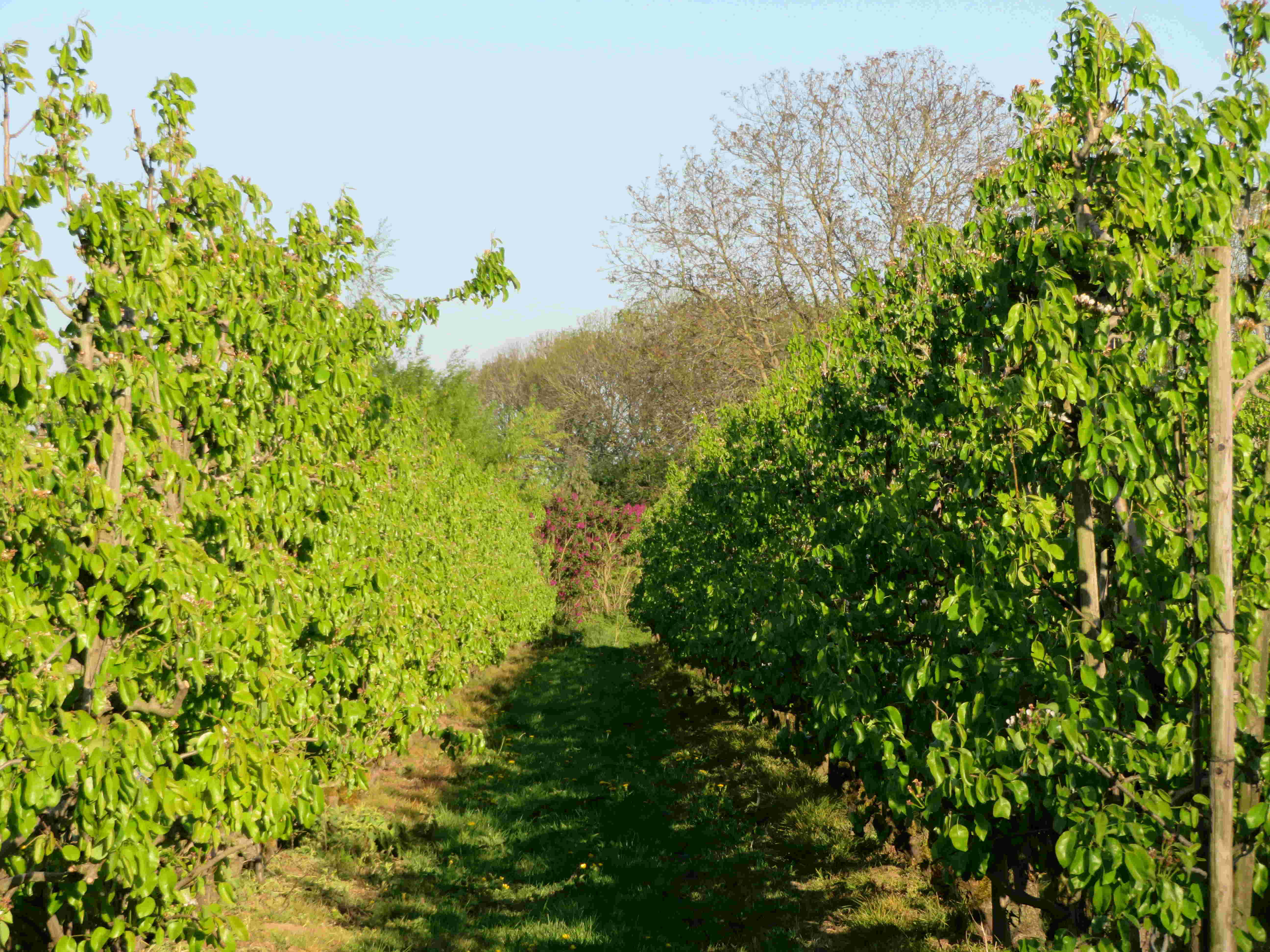 Omgeving van Beuningen